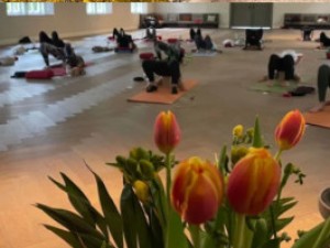 Personal Yoga Berlin - Yoga Retreat - Tollensesee - Yoga