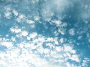 PYB I Conscious Breathwork Air